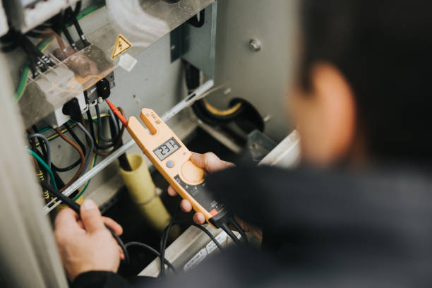 Best Electric Panel Repair  in Algoma, WI