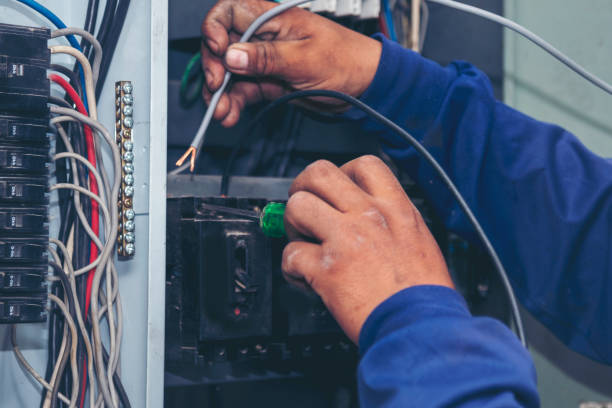 Best Local Electrician Companies  in Algoma, WI