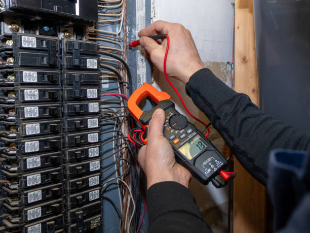Best Affordable Electrician  in Algoma, WI