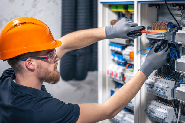 Best Ceiling Fan Installation Electrician  in Algoma, WI